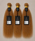 Honey Blonde (#27) Kinky Curly