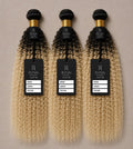 Shadow Blonde Kinky Curl  T1B/613